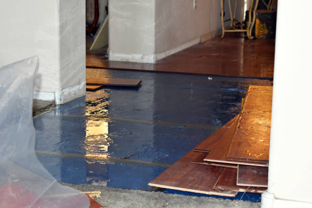 Professional Basement Flood Cleanup technician working in Turtle Creek, PA